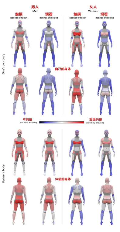 男女兴奋点