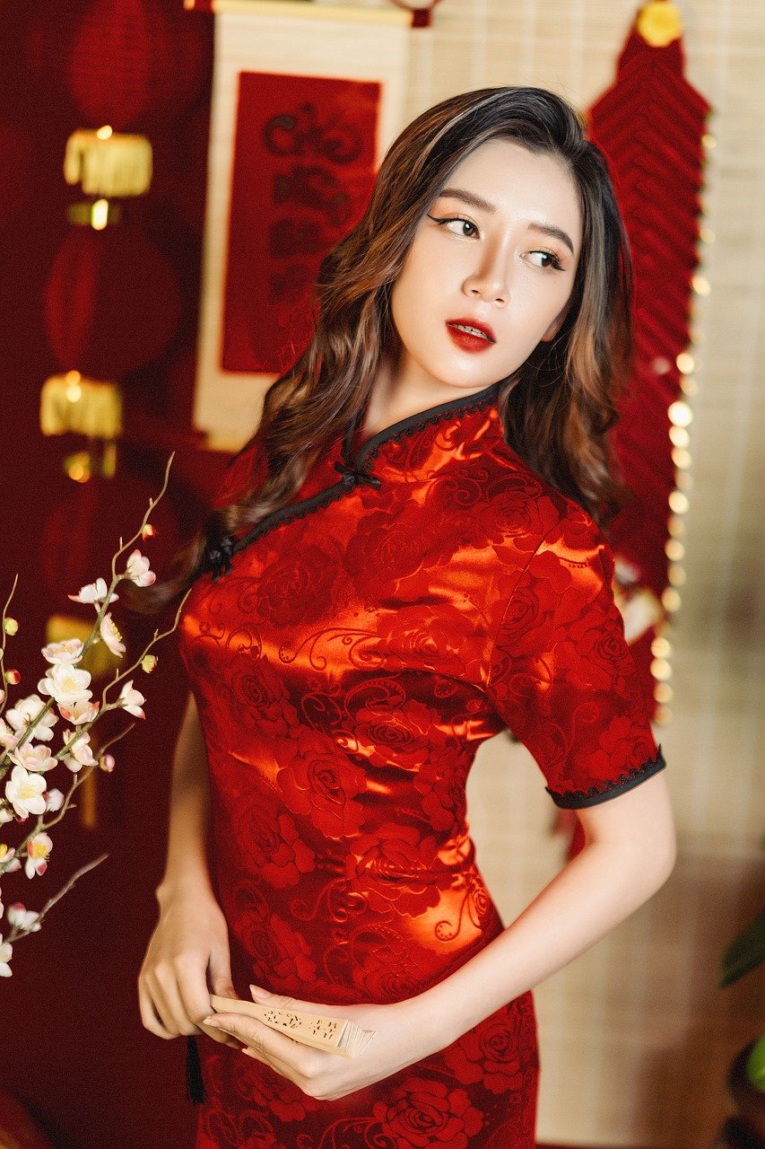春节 奥岱 越南 女子 女人 肖像 亚洲女性 农历新年 越南文化 美 美丽