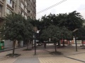 重庆静安养老服务有限公司图片