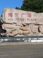 海之行候鸟公寓图片