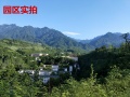 红河谷专业老年健康长寿社区图片