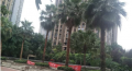 爱心托老所巴国城东海阿特豪斯分所图片