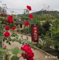 德阳市福馨养老院图片