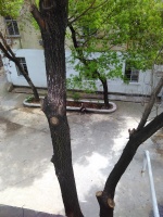 黄石市淑鹏敬老院图片