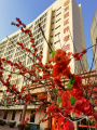 天津市东丽区养老院图片