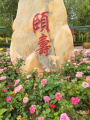 天津市东丽区养老院图片