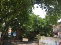 重庆市九龙坡区百年康养老院图片