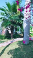 三亚福临四海度假养老公寓图片