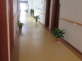 康乐福上海鑫阳养老院图片