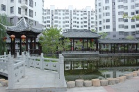 滨海金城养老综合体图片