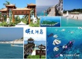 三亚四季海棠养生公寓图片