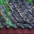 成都双流玄至孝（黄龙溪）养老服务中心 图片