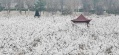 北京市朝阳区彩虹村庄养老院图片