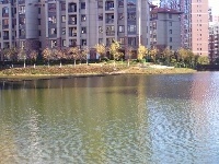 御湖城（国际）老年公寓园图片