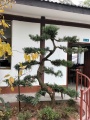 乐山市九百洞生态养老院图片