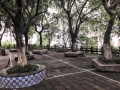 青风酒店式养老护养中心图片