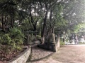 青风酒店式养老护养中心图片