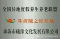 珠海曦之原候鸟度假养生养老基地图片