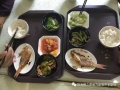 珠海曦之原候鸟度假养生养老基地图片