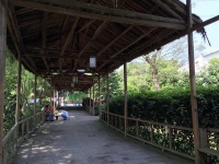 竹园颐老养生村图片