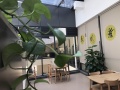 官房老年公寓吴井分院图片