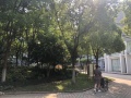 上海市浦东新区高行镇万安养老院图片