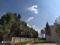 恩泽椿亭驿颐养公寓图片