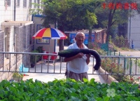 大连西岗星火花园养老院图片
