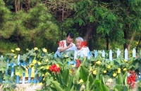 大连西岗星火花园养老院图片