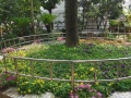 上海市虹口区曲阳路街道敬老院图片