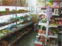 辽宁省大连市西岗区红岩老年服务中心图片