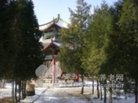 辽宁省鞍山市立山区孟园第二养老院图片