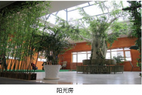 天津东丽爱之家老人养生院图片