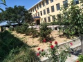 山东省威海市文登市泽头镇敬老院图片