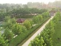 龙湖老年人康乐服务中心图片