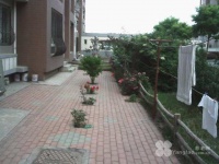 辽宁省大连市甘井子区幸福养老院图片