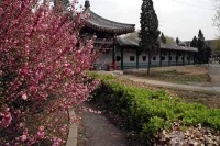 天津市河北区中山颐寿园河北养老院图片